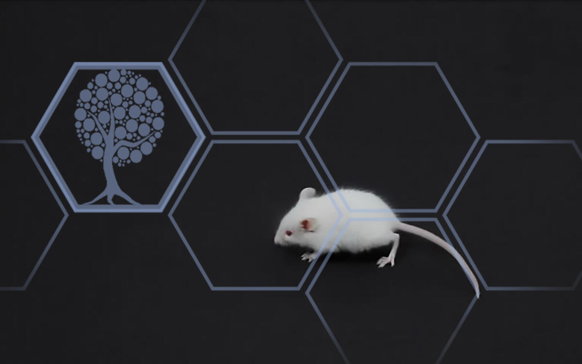 The Biocore Logo and a white mouse on a black background